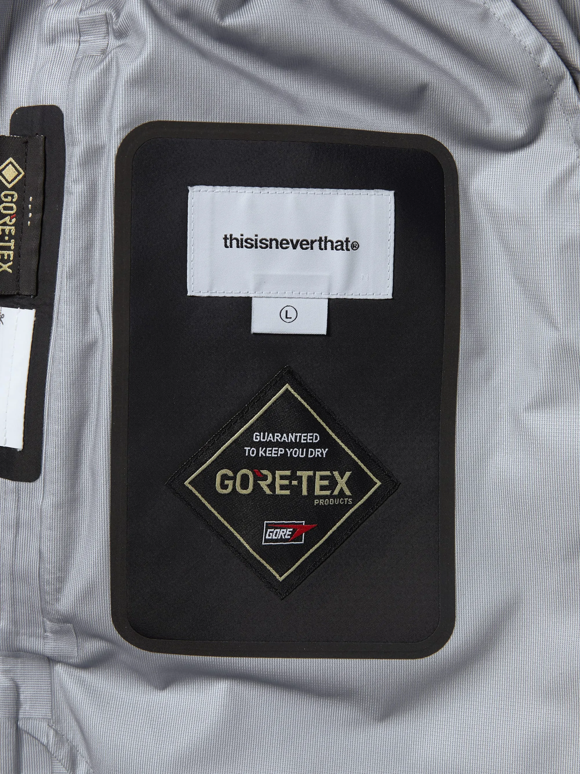 Gore-Tex 3L All Weather Pant