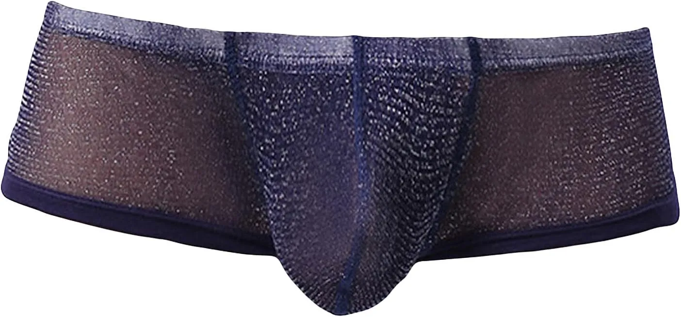 JEsilunmaMY Low Waist Boxer Briefs for Men Mesh Sheer U Convex Pouch Underwear See Through Breathable Panties Shorts Swimwear