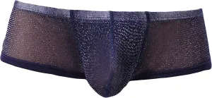 JEsilunmaMY Low Waist Boxer Briefs for Men Mesh Sheer U Convex Pouch Underwear See Through Breathable Panties Shorts Swimwear