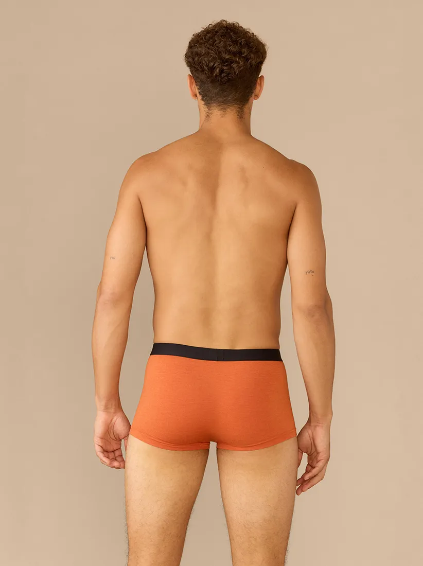 Trunk | Heather Terra
